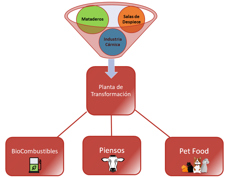 Diagrama-productos-industrial-toledana-de-grasas